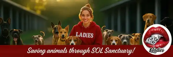 $Ladies – We blend meme coins with automated social impact.